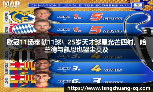 BvipB体育